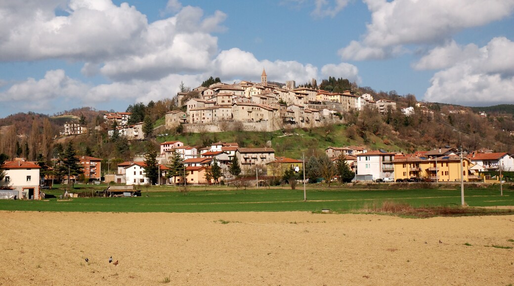 بييترالونغا