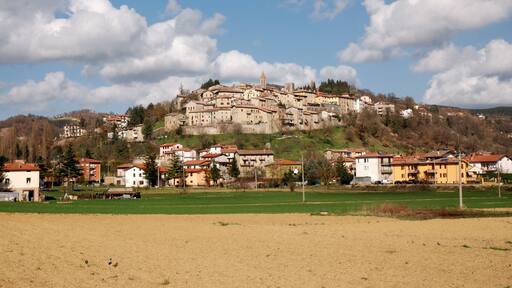 بييترالونغا