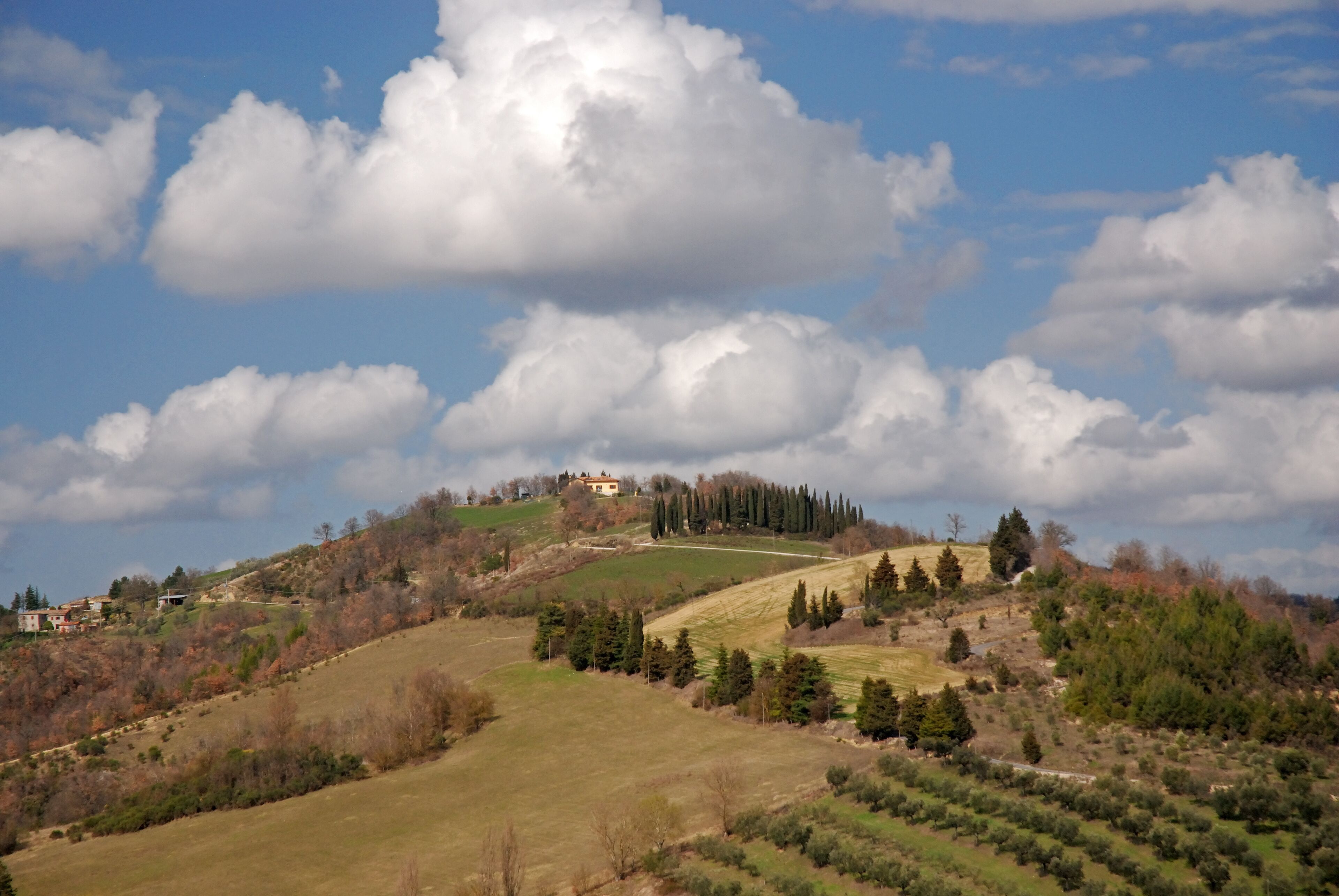 بييترالونغا