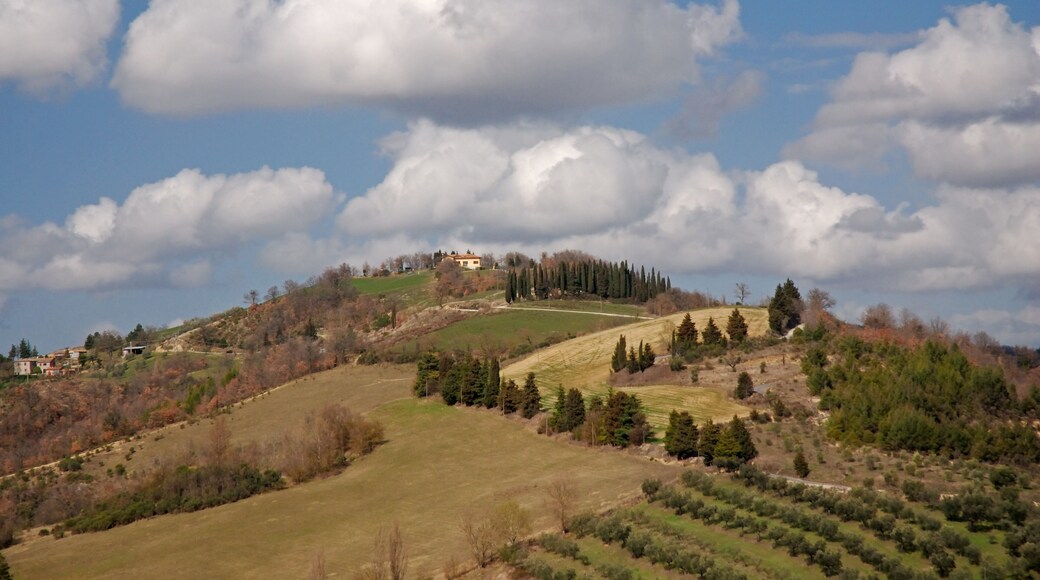 بييترالونغا