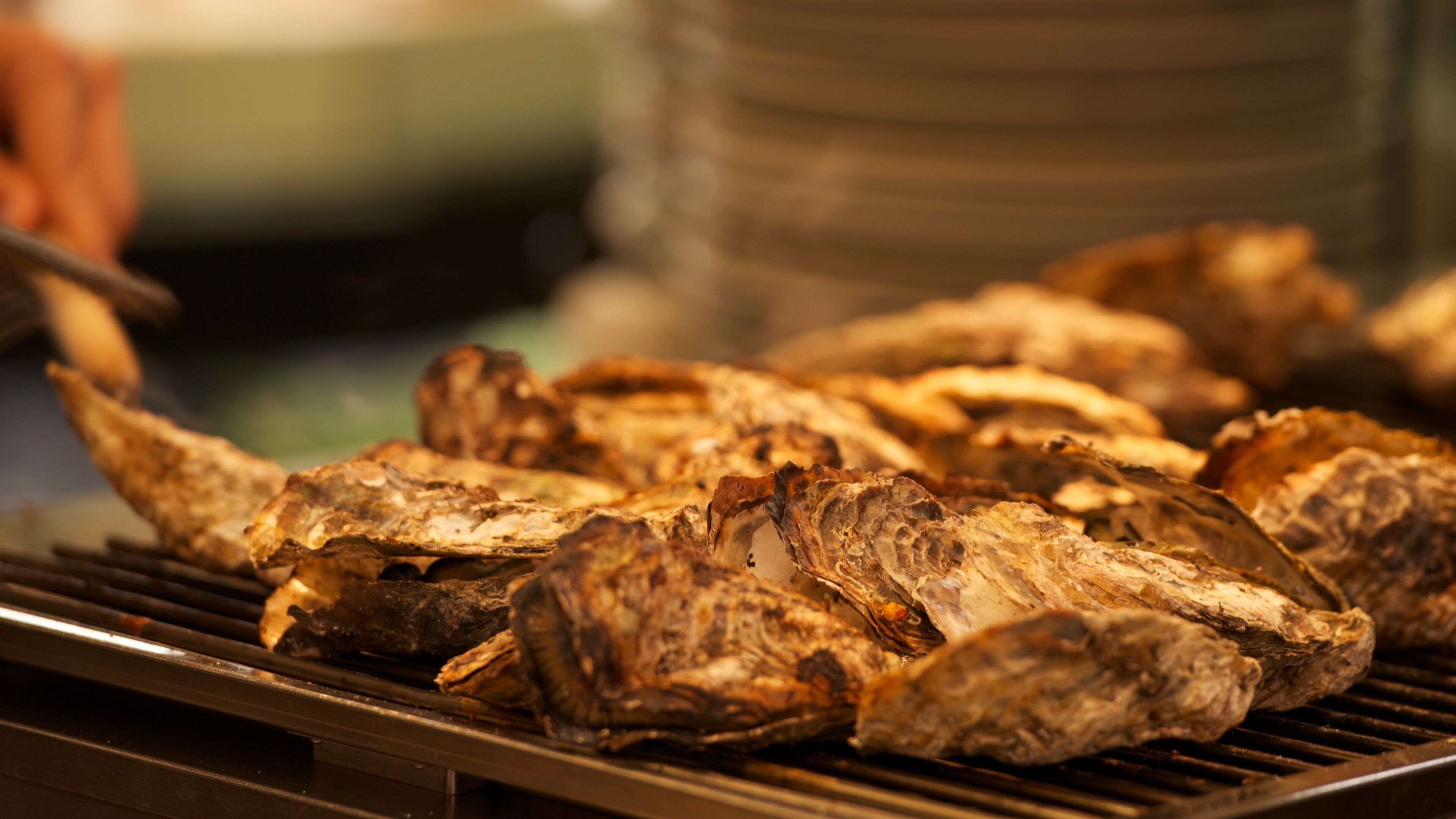 廿日市 设有 食物