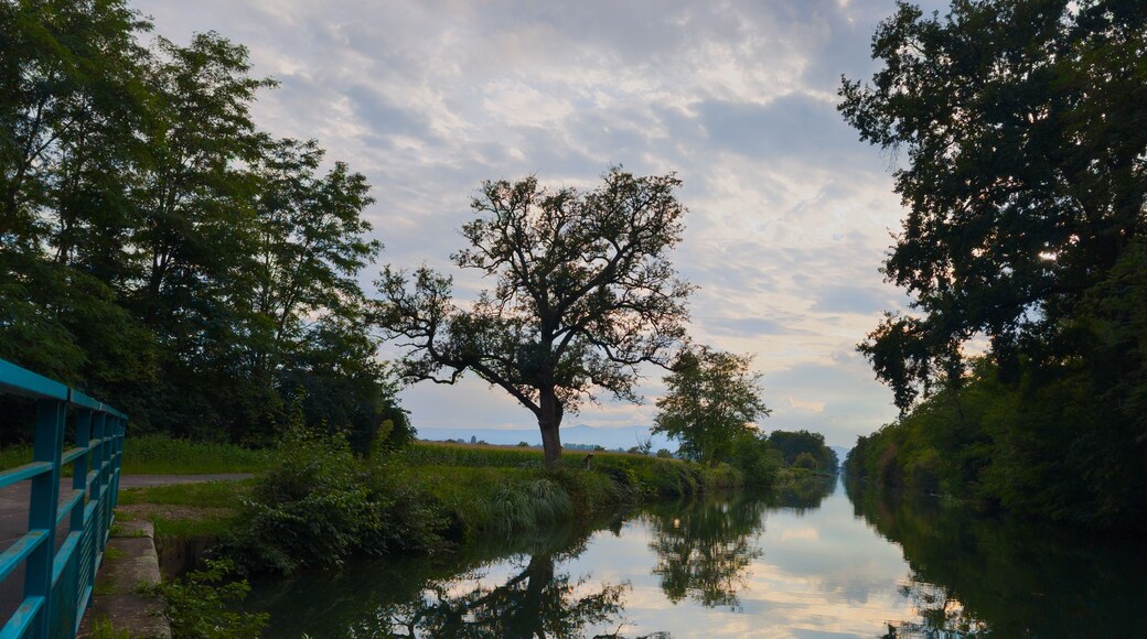 Début de soirée sur le Canal de Colmar, CEA, Alsace, Grand Est, France