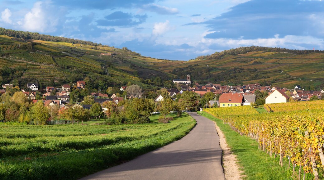 Located in the valley of the vineyards, the village of Westhalten in France is typical of the Alsace Wine Route.