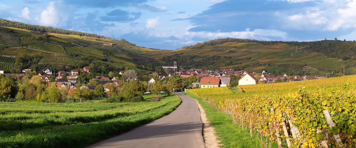 Located in the valley of the vineyards, the village of Westhalten in France is typical of the Alsace Wine Route.