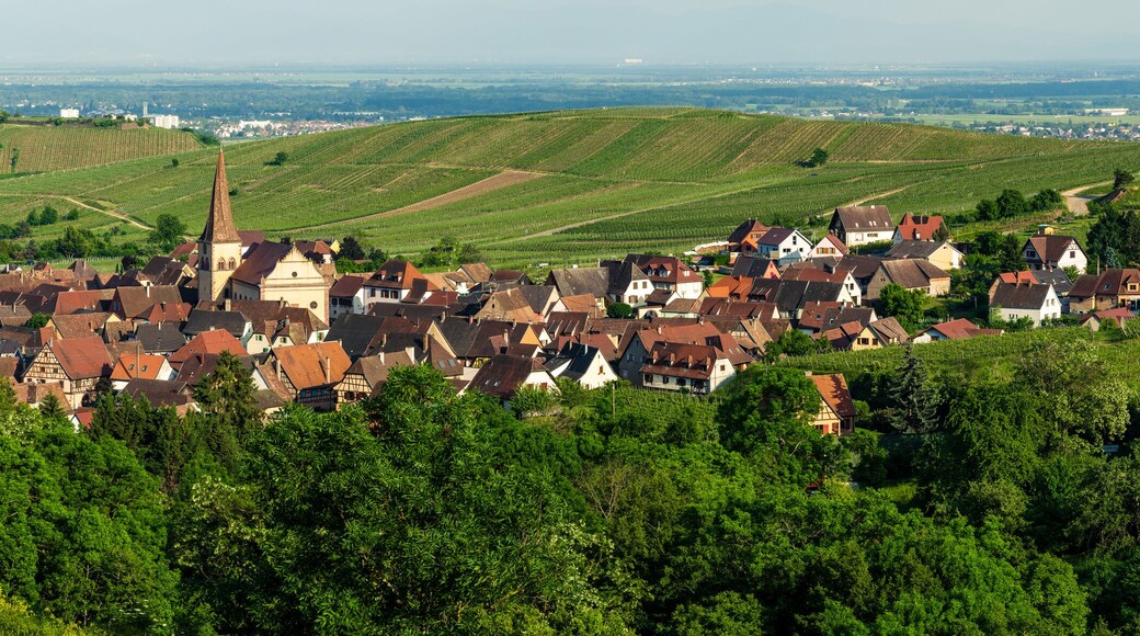 Le village Niedermorschwihr : un trésor caché de l'Alsace, son église pittoresque au clocher vrillé, CeA, Alsace, Grand Est, France