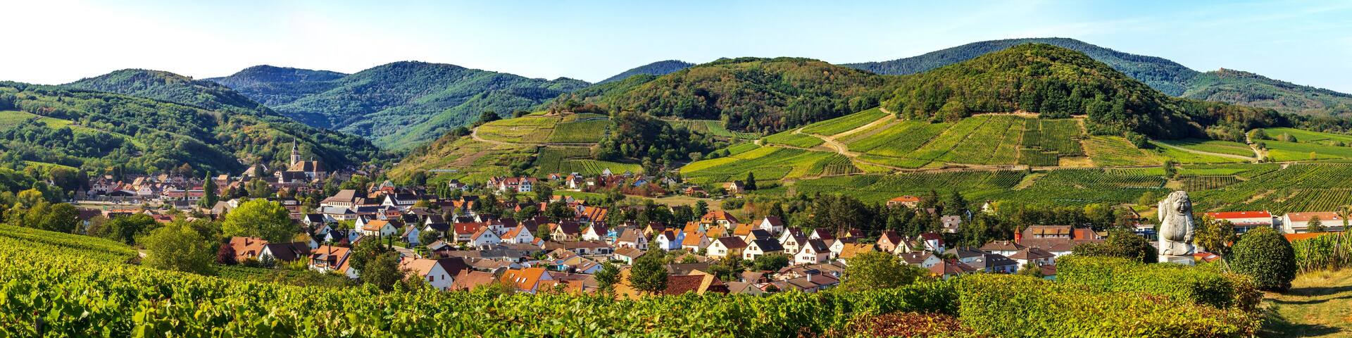 Panoramic view of the stunning village of Andlau in Alsace. Slopes with ripening grapes. Great views of the Vosges mountains. Idyll and grace.