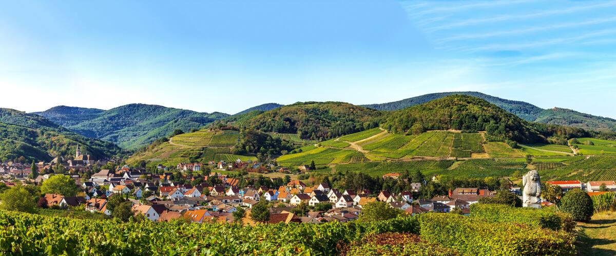 A picturesque village nestled in a valley with vineyards and rolling hills in the background.