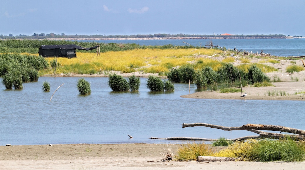 Lagune tra Po di Goro e Po di Gnocca