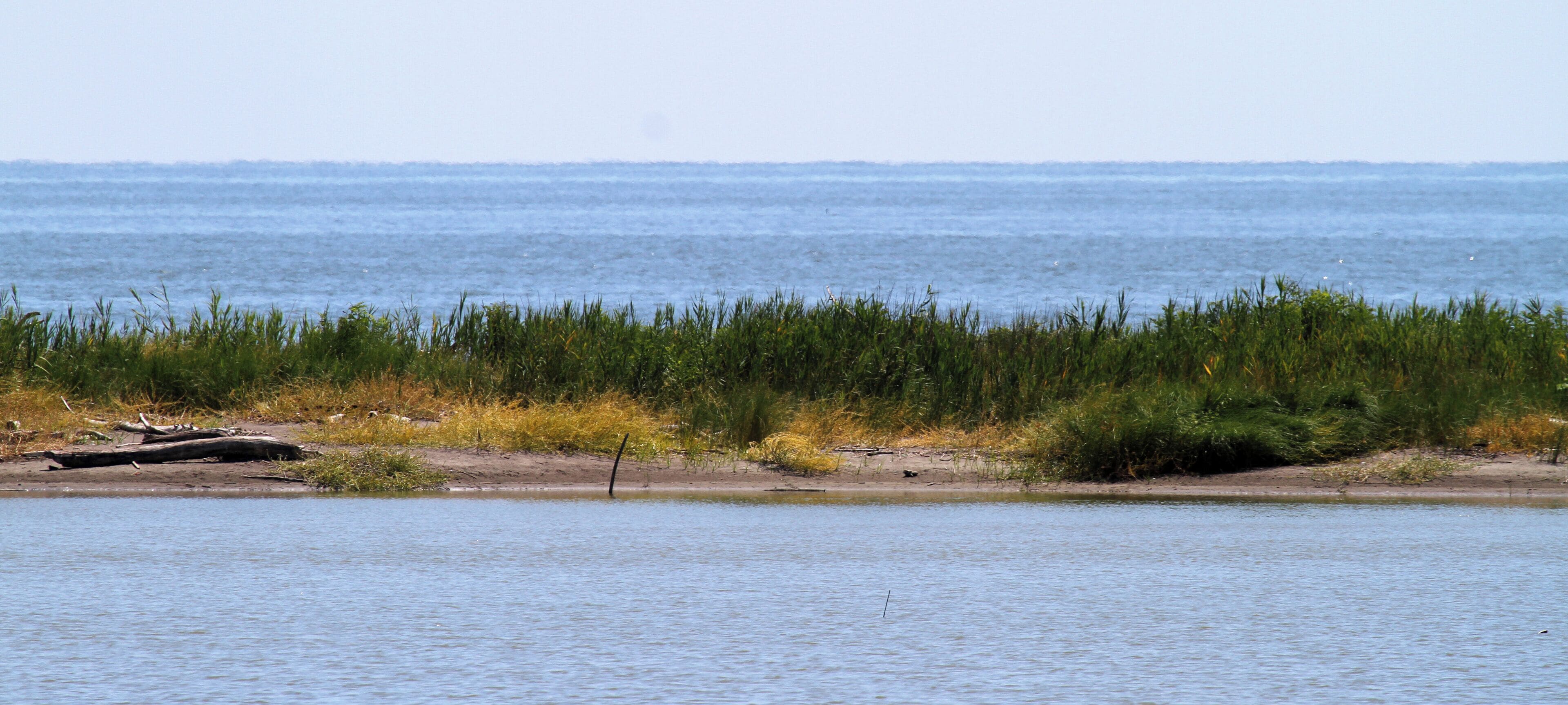 Lagune tra Po di Goro e Po di Gnocca