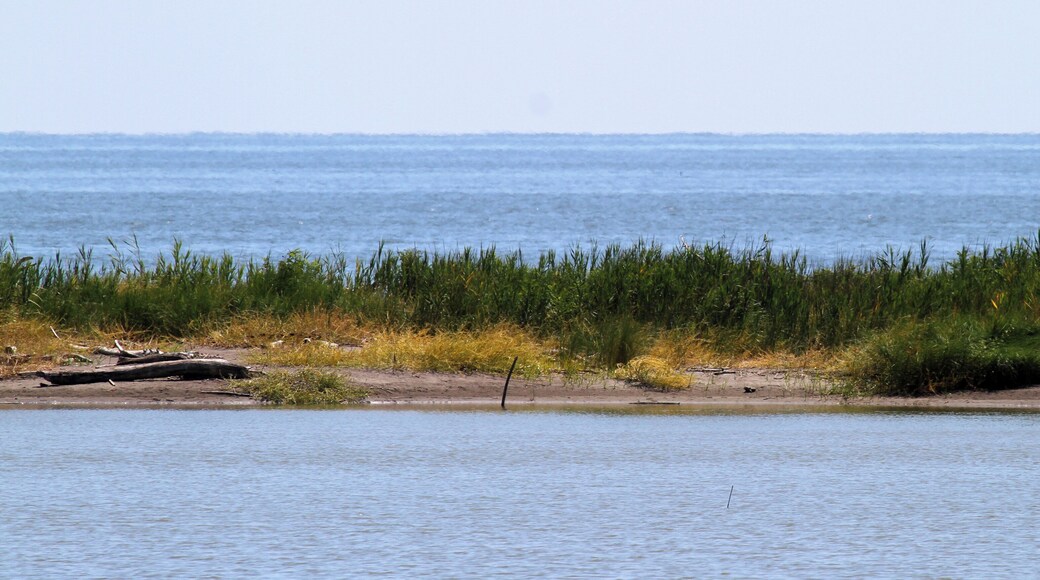 Lagune tra Po di Goro e Po di Gnocca