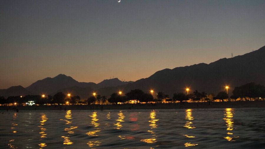 SPLENDID WATER, GARDENS, MOUNTAINS, MOON, SKY, EVENING.