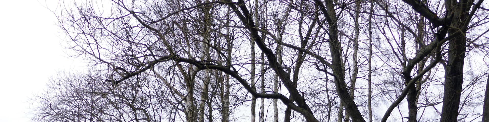 Kneipp-Anlage, Grüner Graben (Pobershau), Erzgebirgskreis - Sachsen.