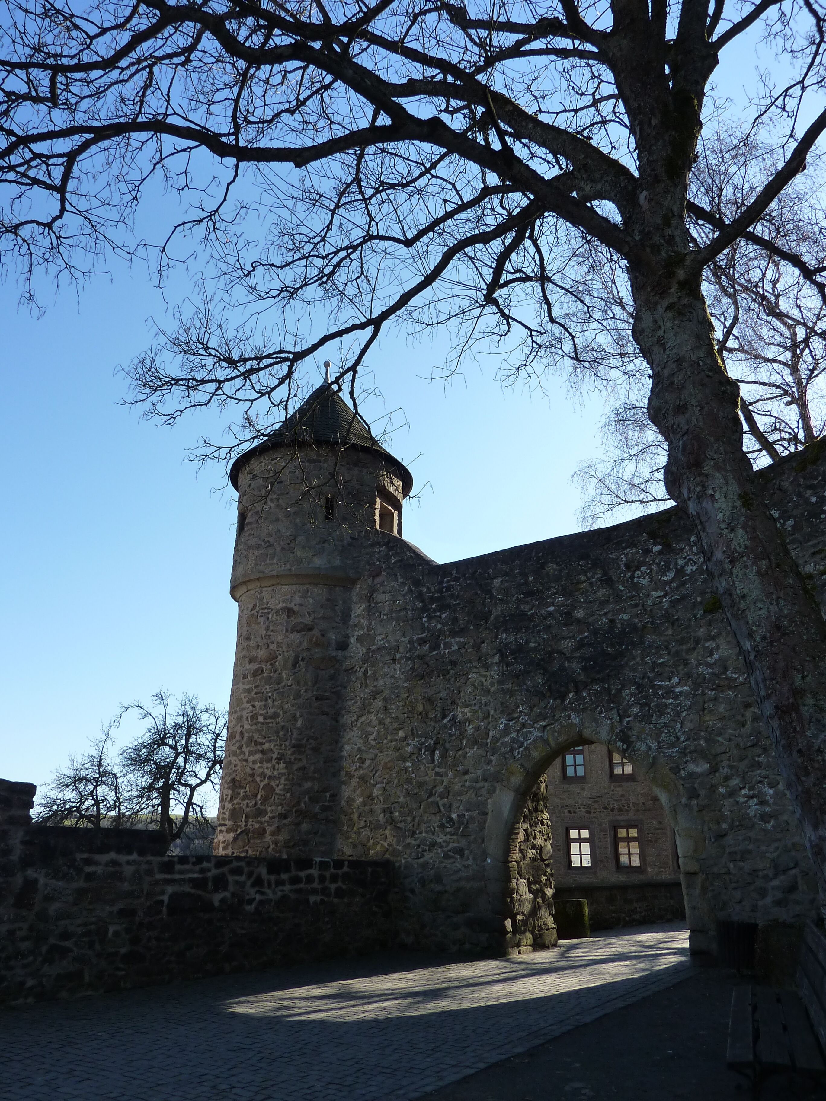 A stone tower with a conical roof, an arched doorway, and a tree with bare branches.