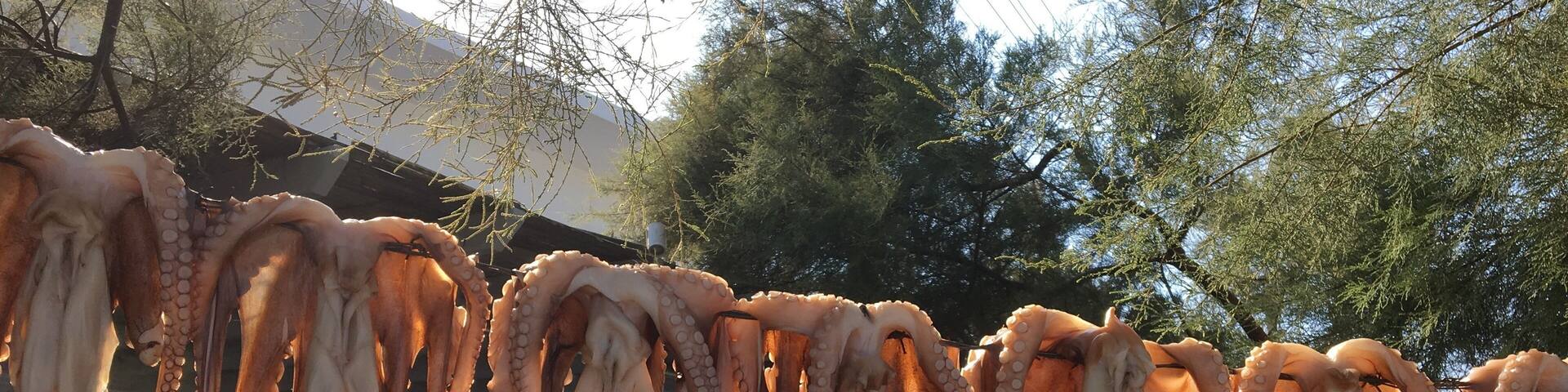 Octopus tentacles hanging outdoors, possibly for sale, with a person sitting at a table in the background.
