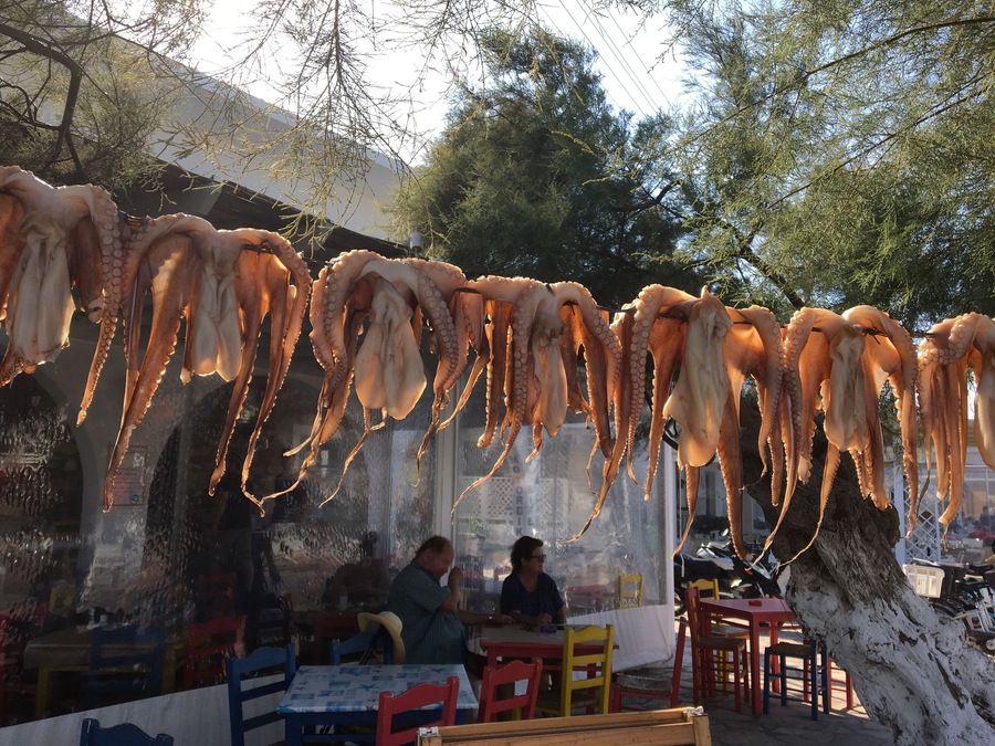 Octopus tentacles hanging outdoors, possibly for sale, with a person sitting at a table in the background.