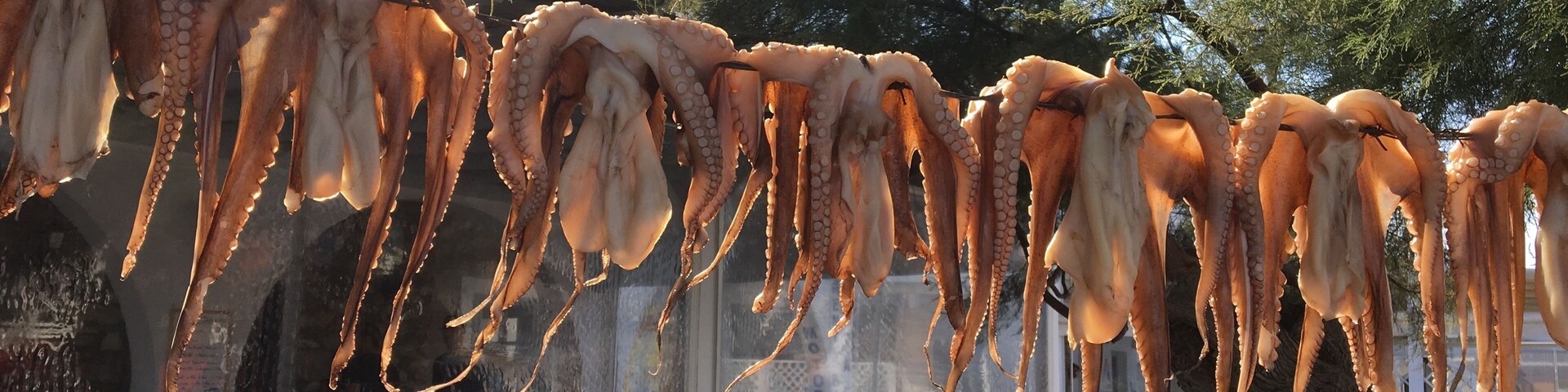 Octopus tentacles hanging outdoors, possibly for sale, with a person sitting at a table in the background.