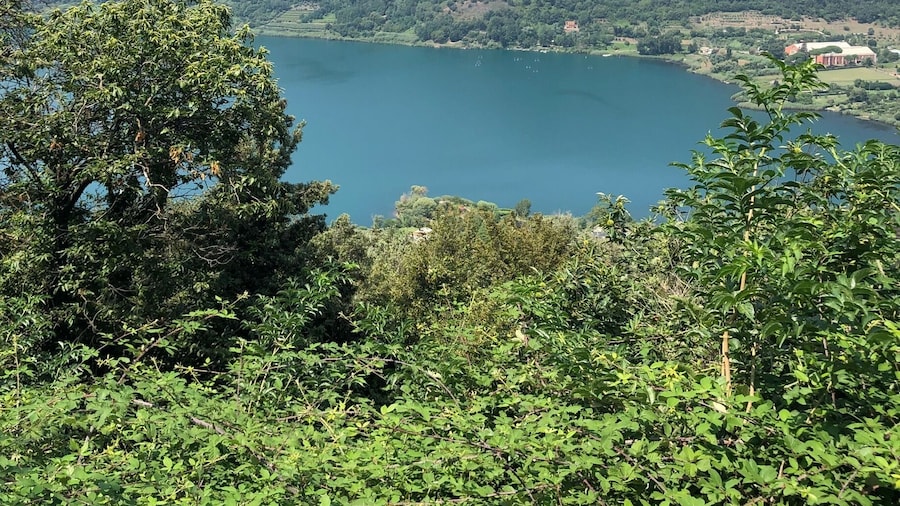 Great view from up high