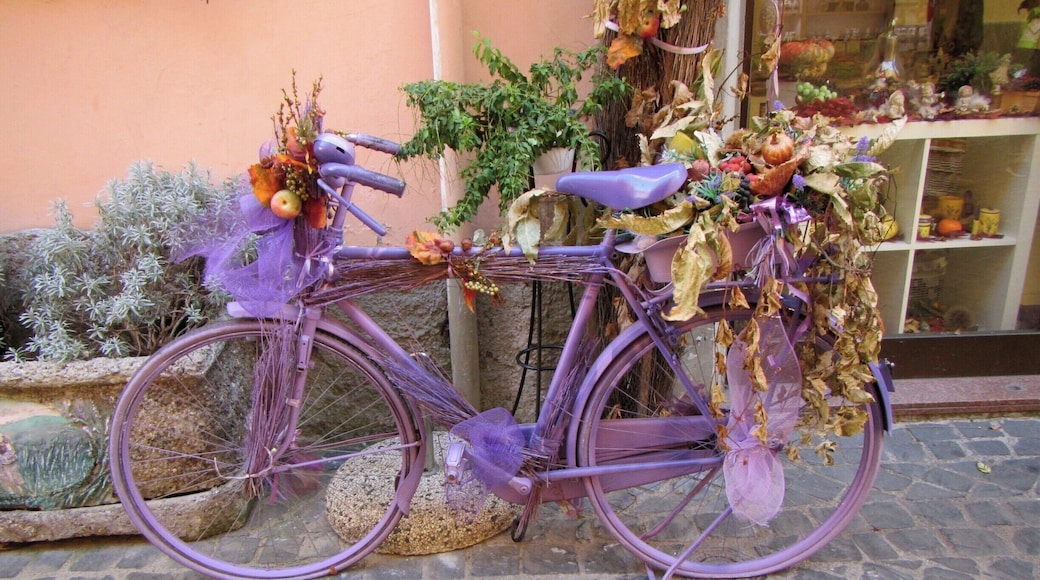 sitting outside a shop