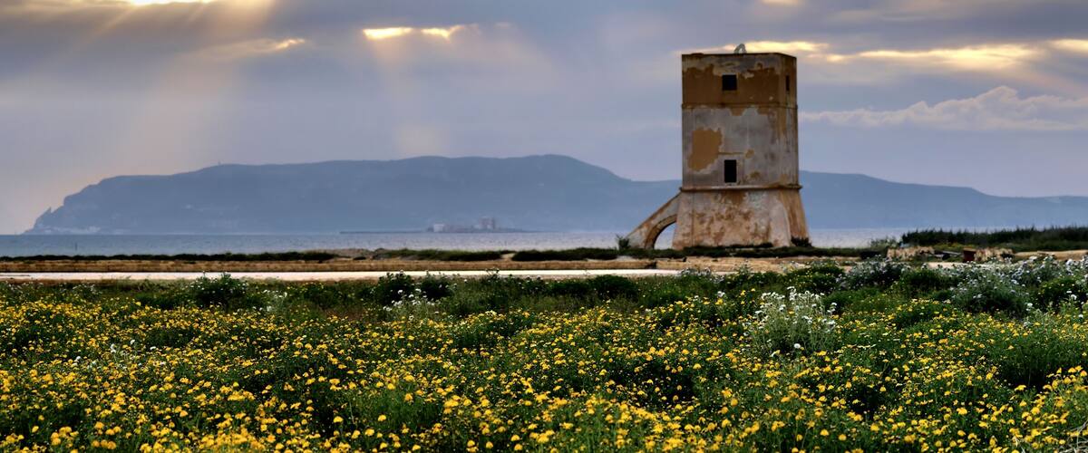 The authorisation for taking photos of this object was provided by the World Wide Fund for Nature Italy.