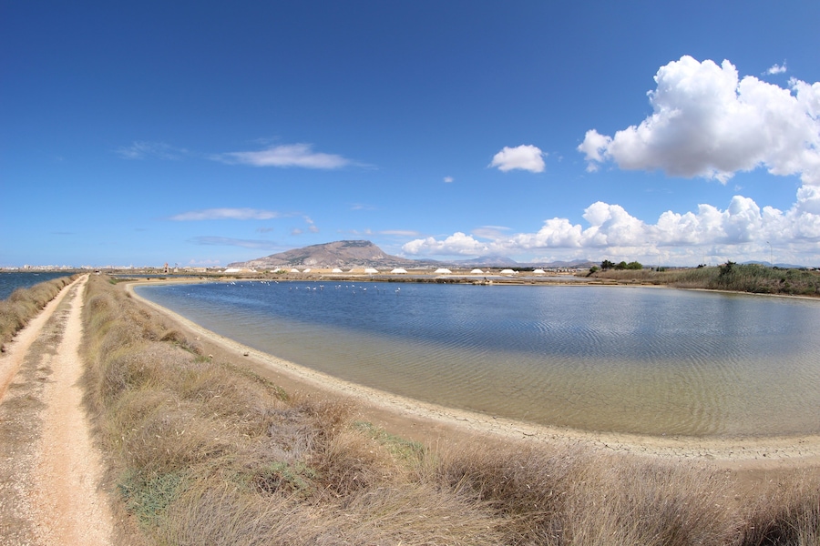 The authorisation for taking photos of this object was provided by the World Wide Fund for Nature Italy.