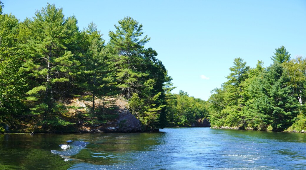 Scenery in a Muskoka Ontario Lake in Cottage Country