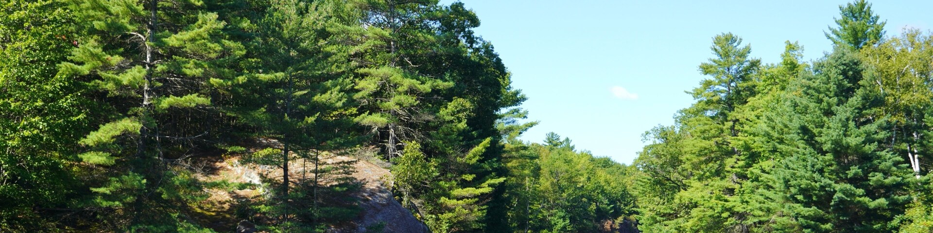 Scenery in a Muskoka Ontario Lake in Cottage Country