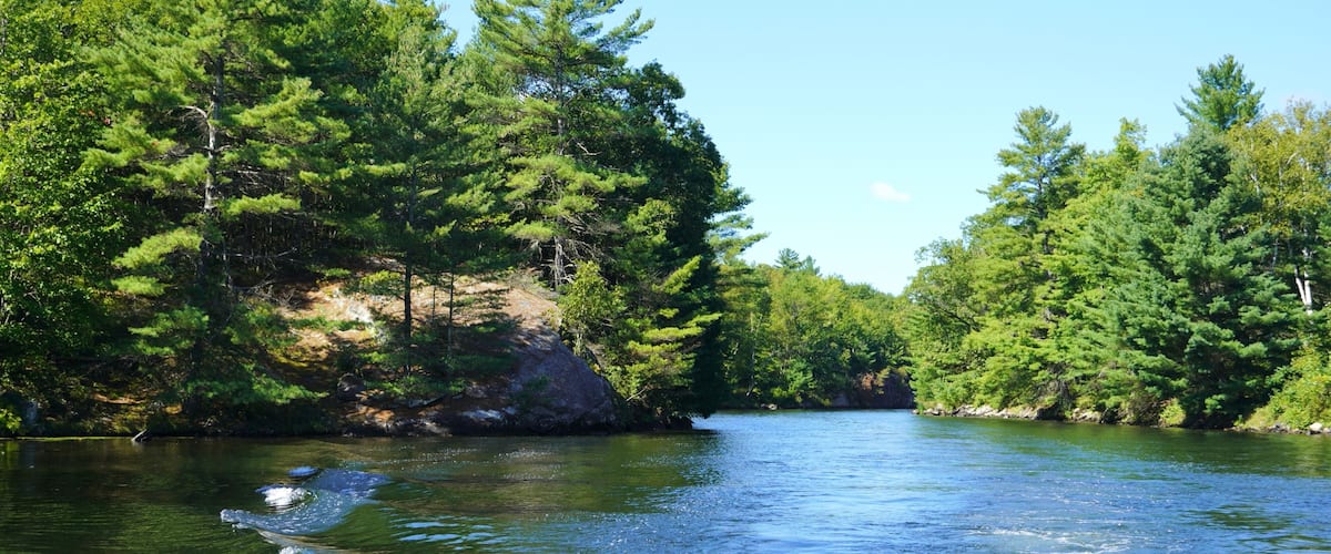 A river surrounded by dense green forest and rocky outcrops.