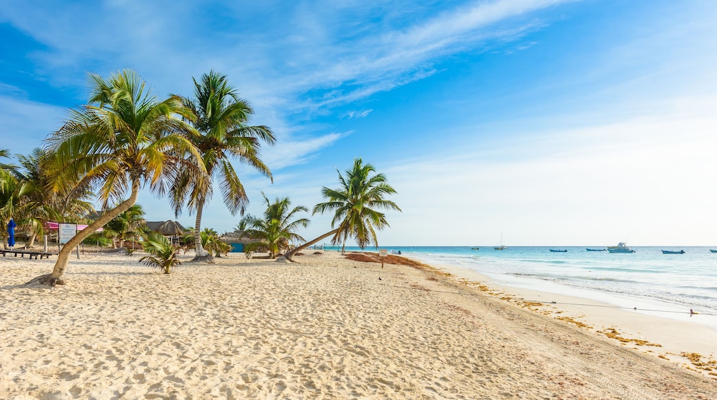 Paradise Beach also called Playa Paraiso at Tulum - sunrise at beautiful and tropical caribbean coast of Tulum in Quintana Roo, Riviera Maya, Mexico
