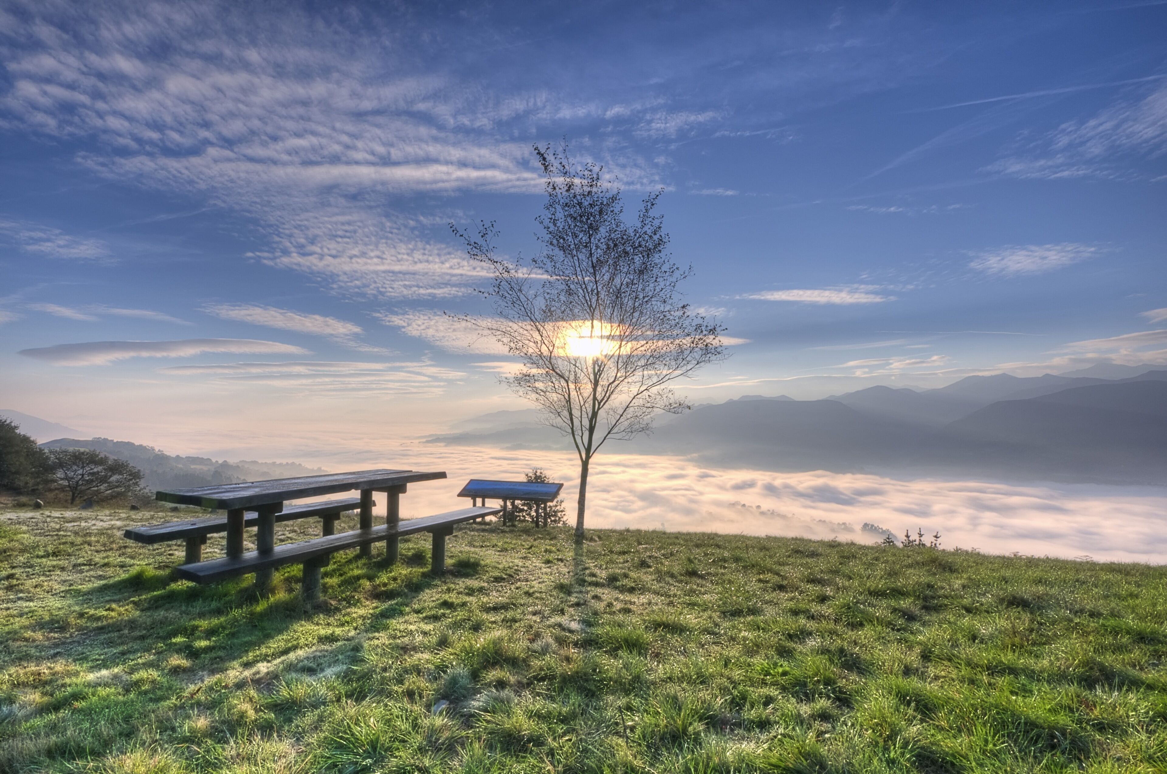 A picnic area with benches and a tree in a grassy field with a mountain backdrop and a sun setting.