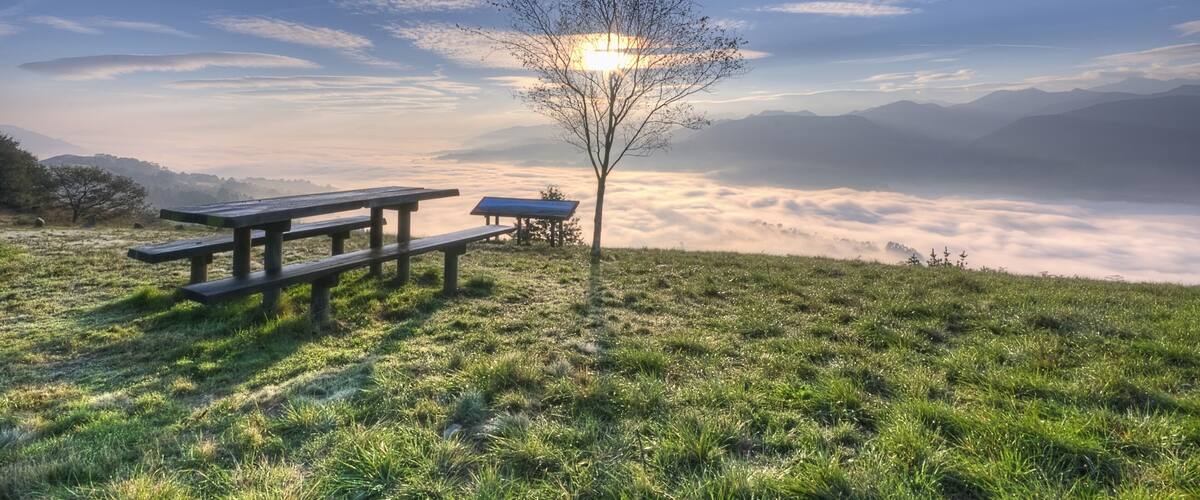 A picnic area with benches and a tree in a grassy field with a mountain backdrop and a sun setting.