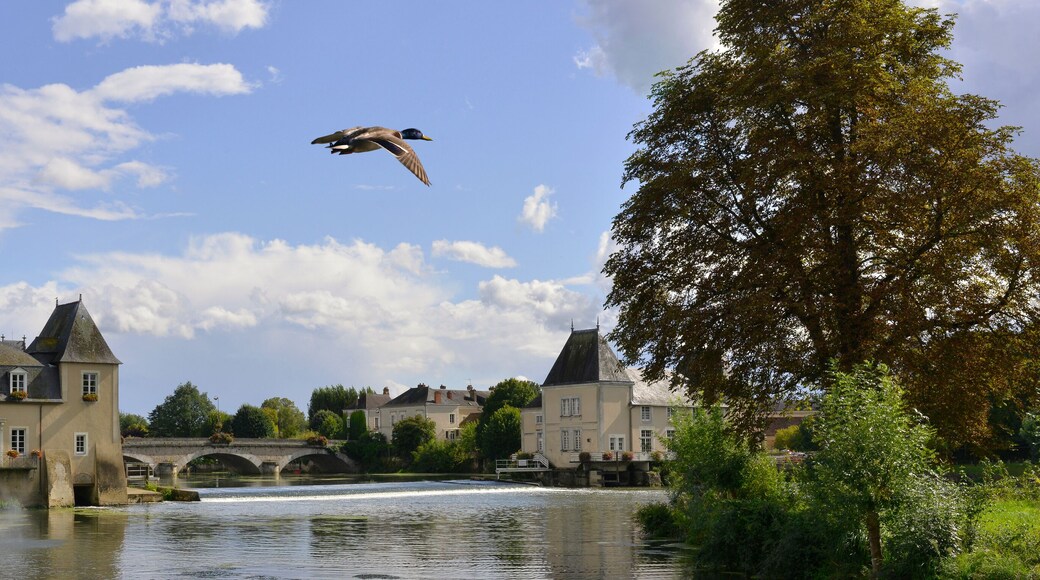 Panoramique jet d'eau sur Le Loir à La Flèche (72200), Sarthe en Pays-de-la-Loire, France