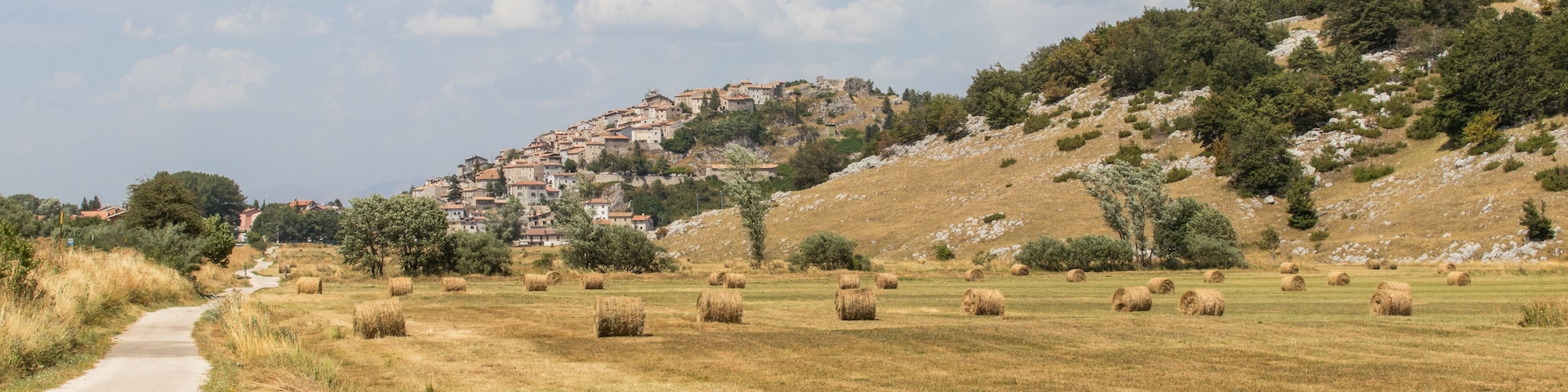 Vista di rovere di rocca di mezzo