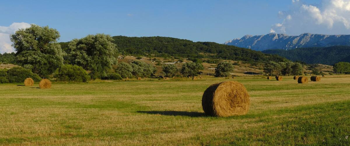 A field with hay bales and a mountain range in the background.