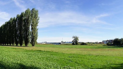 This is a photo of a monument which is part of cultural heritage of Italy. This monument participates in the contest Wiki Loves Monuments Italia 2015. See authorisations.