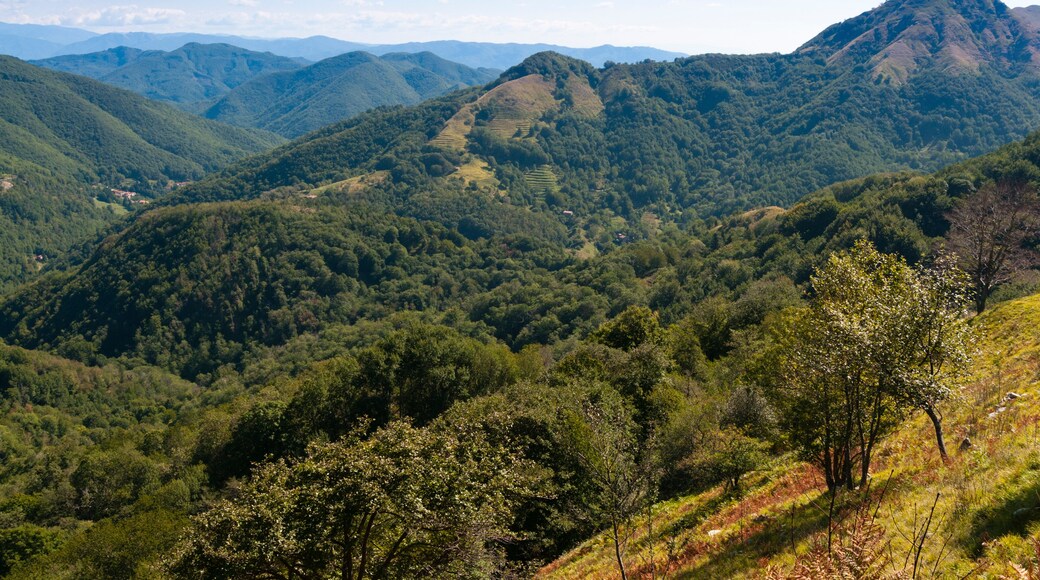 Pescaglia Mountains, Apuan Alps (Alpi Apuane), Lucca Province, Tuscany