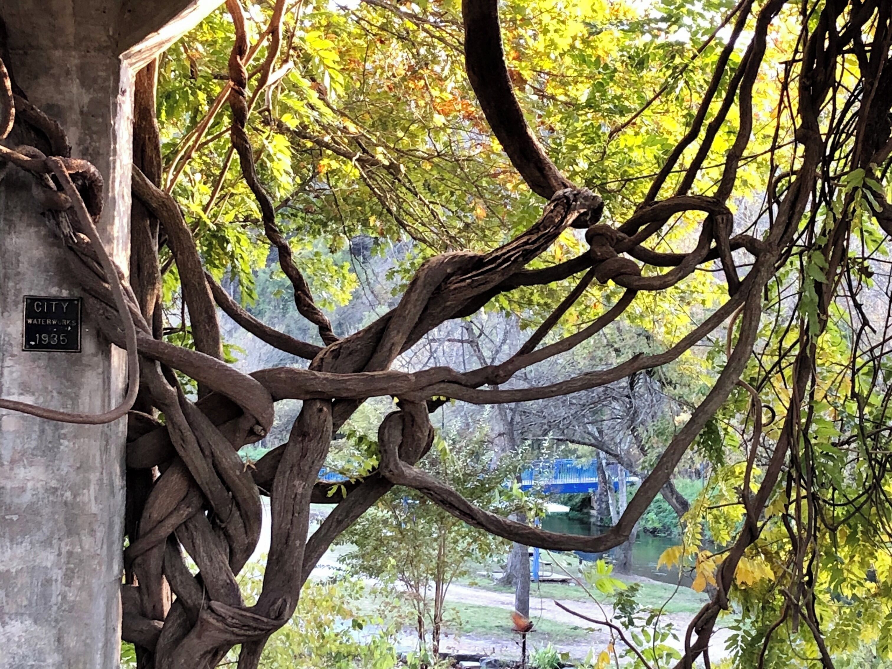 Old City Waterworks Structure in Cotter, AR-built 1935 #history #historyphotocontest