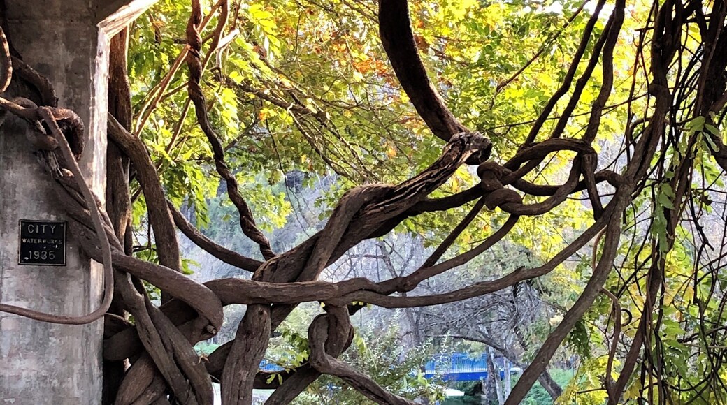 Old City Waterworks Structure in Cotter, AR-built 1935 #history #historyphotocontest