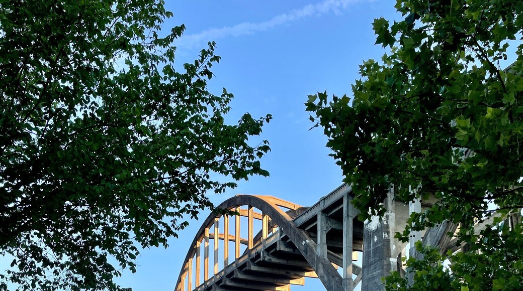 Rainbow Arch Bridge over the White River in Cotter Arkansas in summer with blue sky
