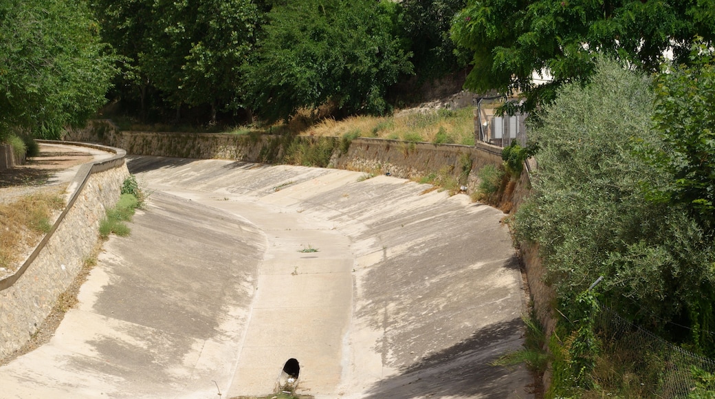 CARAVACA CIUDAD TORRENTERA