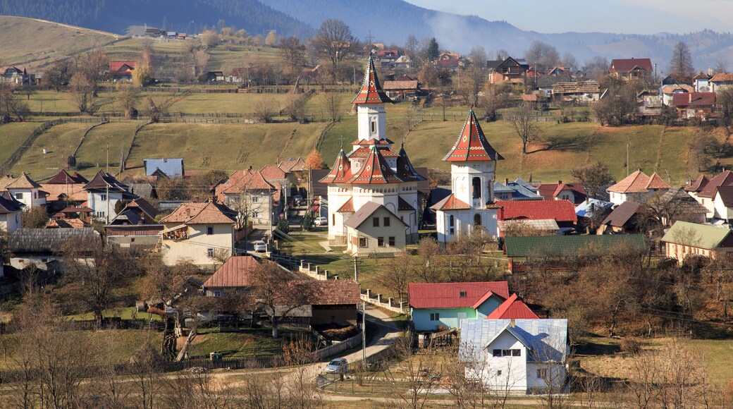 Campulung Moldovenesc