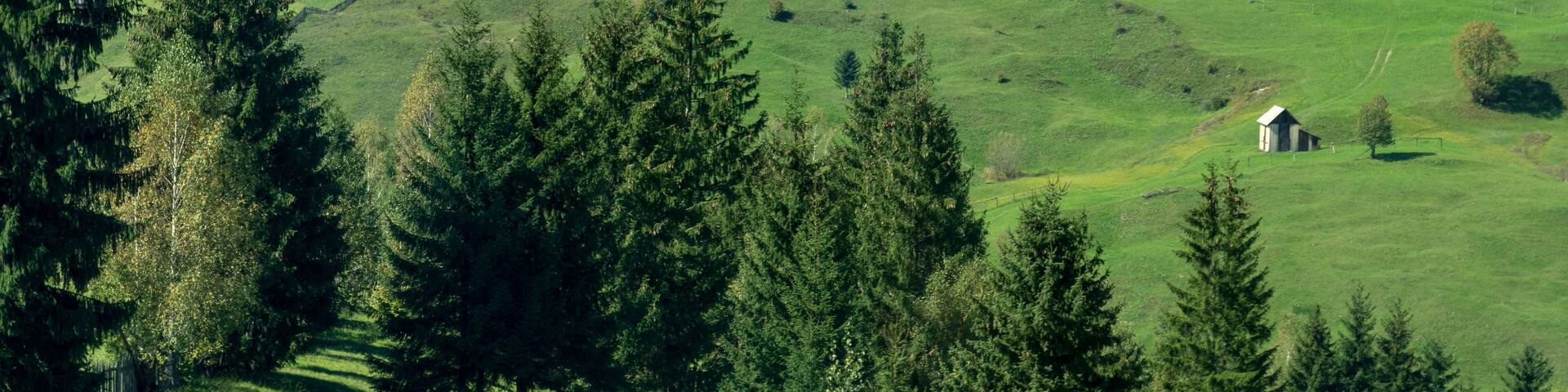 CAMPULUNG MOLDOVENESC, TRANSYLVANIA/ROMANIA - SEPTEMBER 18 : Farmland near Campulung Moldovenesc Transylvania Romania on September 18, 2018