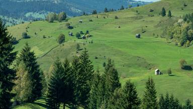 Rolling green hills, scattered trees, and small buildings in a rural landscape.