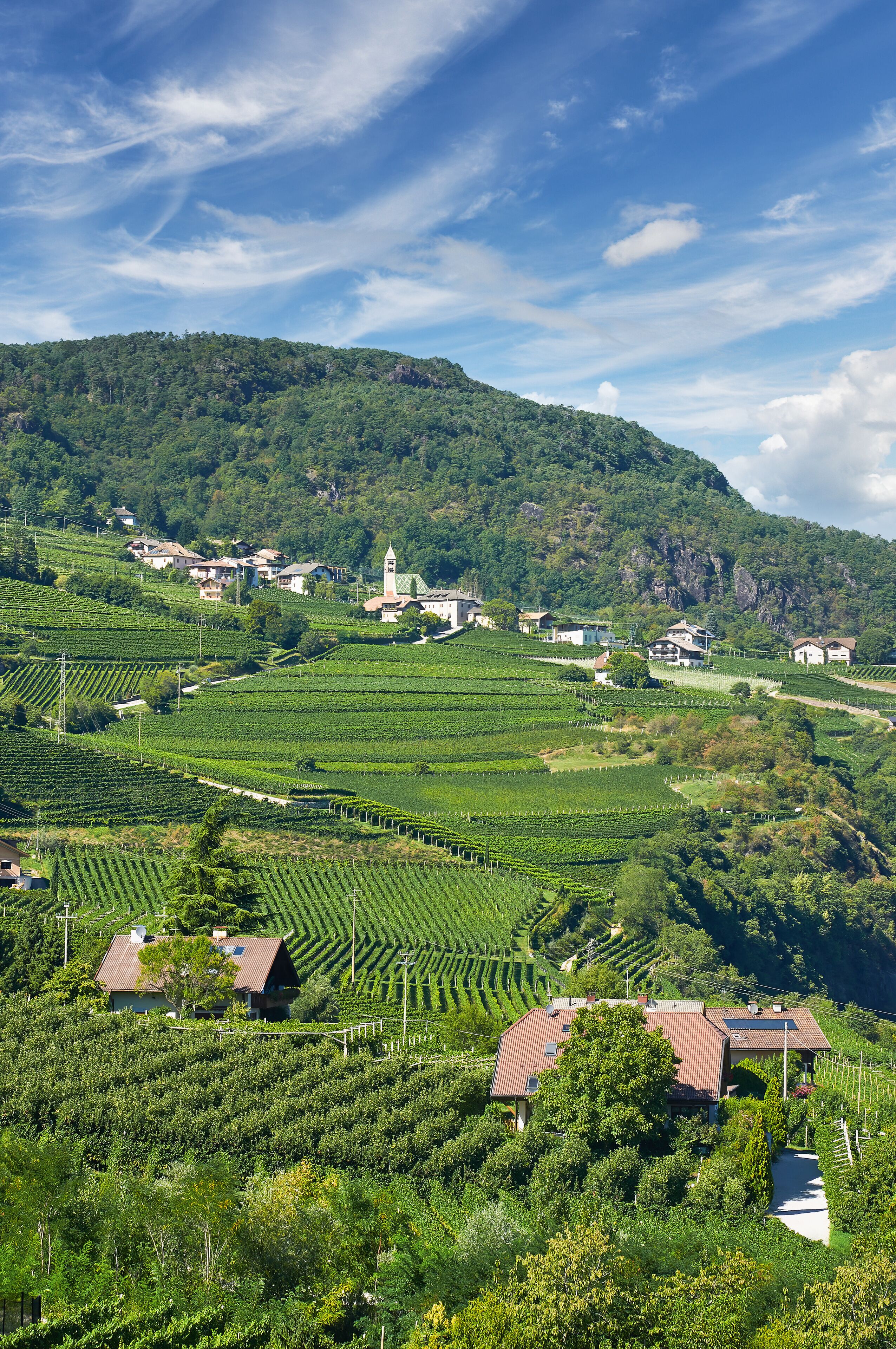 Termeno Sulla Strada del Vino