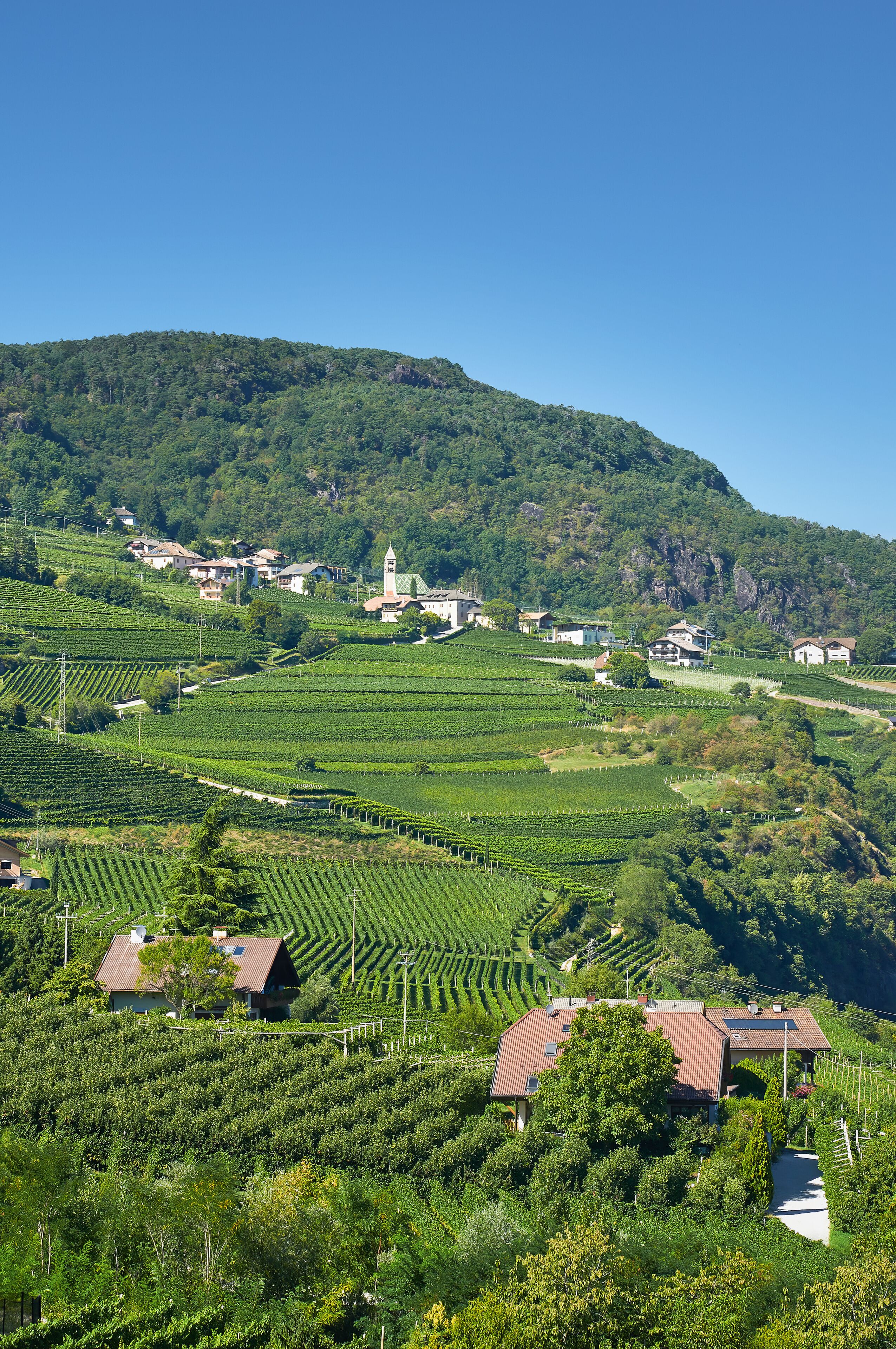 Termeno Sulla Strada del Vino