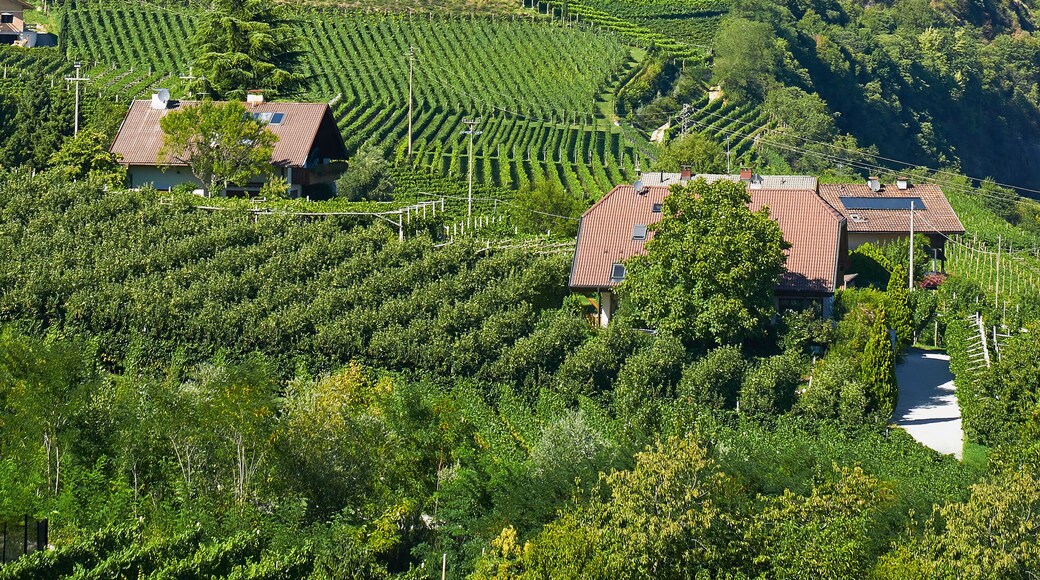 Termeno Sulla Strada del Vino