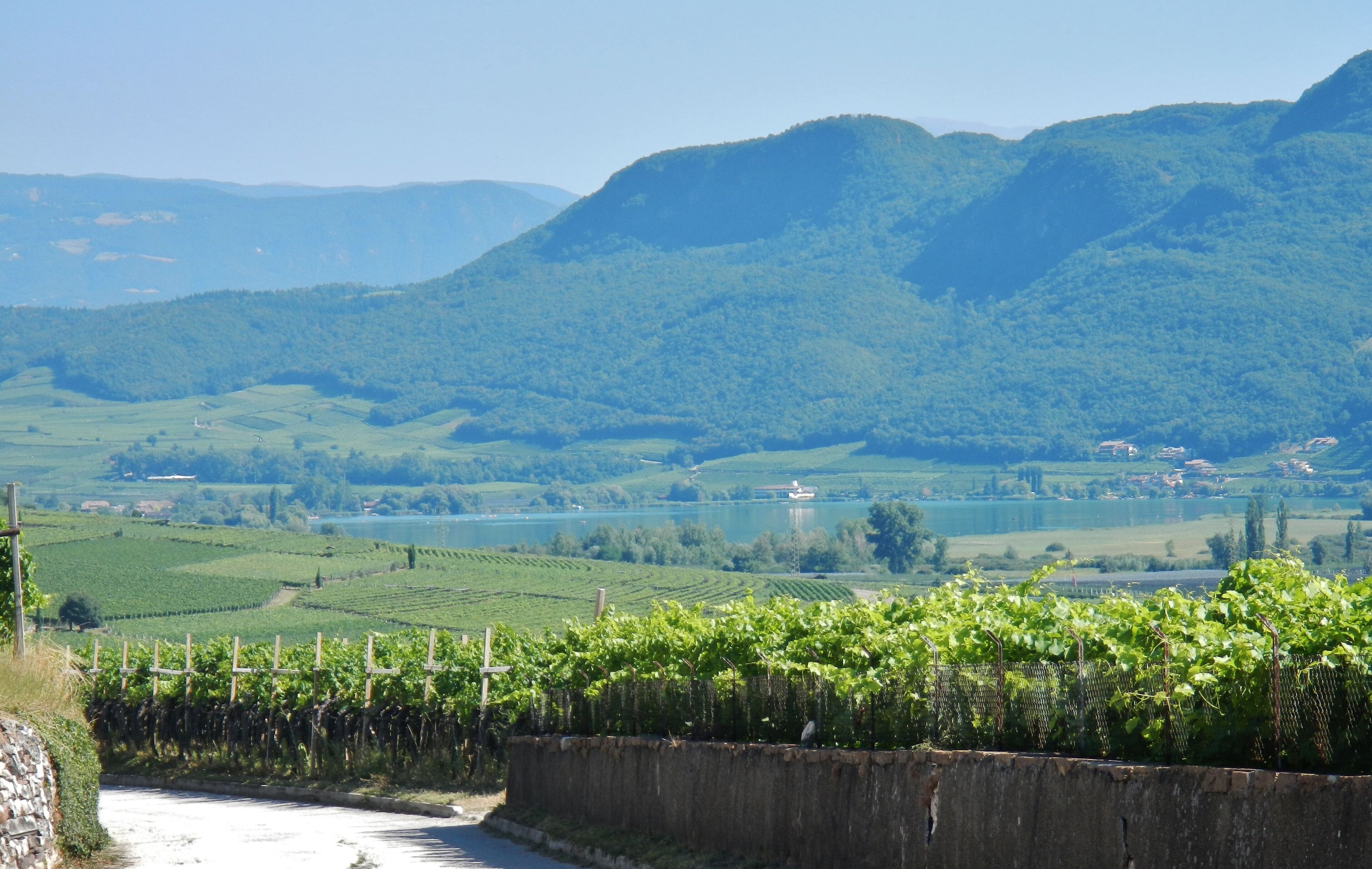 Kalterer See, Lago di Caldaro