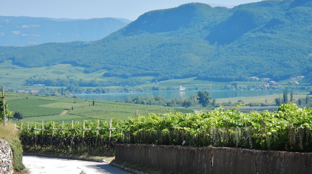 Kalterer See, Lago di Caldaro
