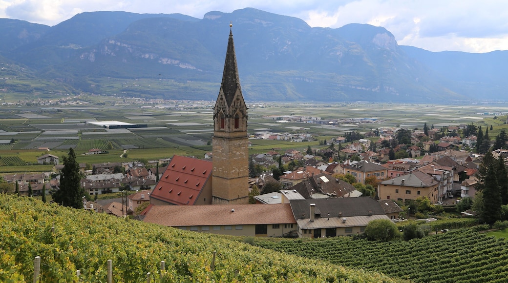Pfarrkirche St. Quirikus und Julitta, Tramin This media shows the cultural heritage monument with the number 17709 in South Tyrol.