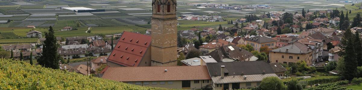 Pfarrkirche St. Quirikus und Julitta, Tramin This media shows the cultural heritage monument with the number 17709 in South Tyrol.