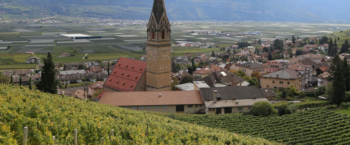 Pfarrkirche St. Quirikus und Julitta, Tramin This media shows the cultural heritage monument with the number 17709 in South Tyrol.